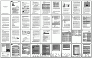 316.gif Monitoring, bezpieczeństwo, systemy alarmowe