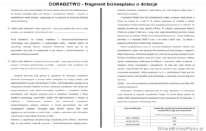 Organizacja szkoleń, doradztwo, tłumaczenia