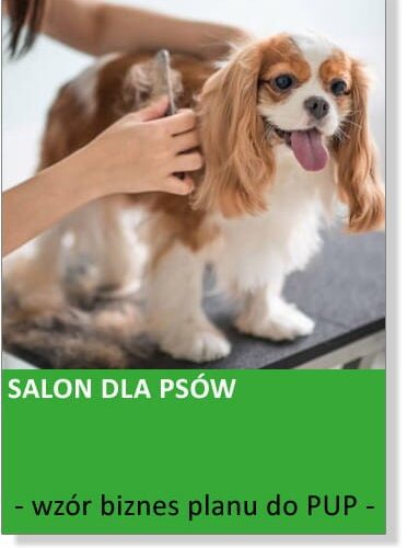 789.jpg Salon dla psów